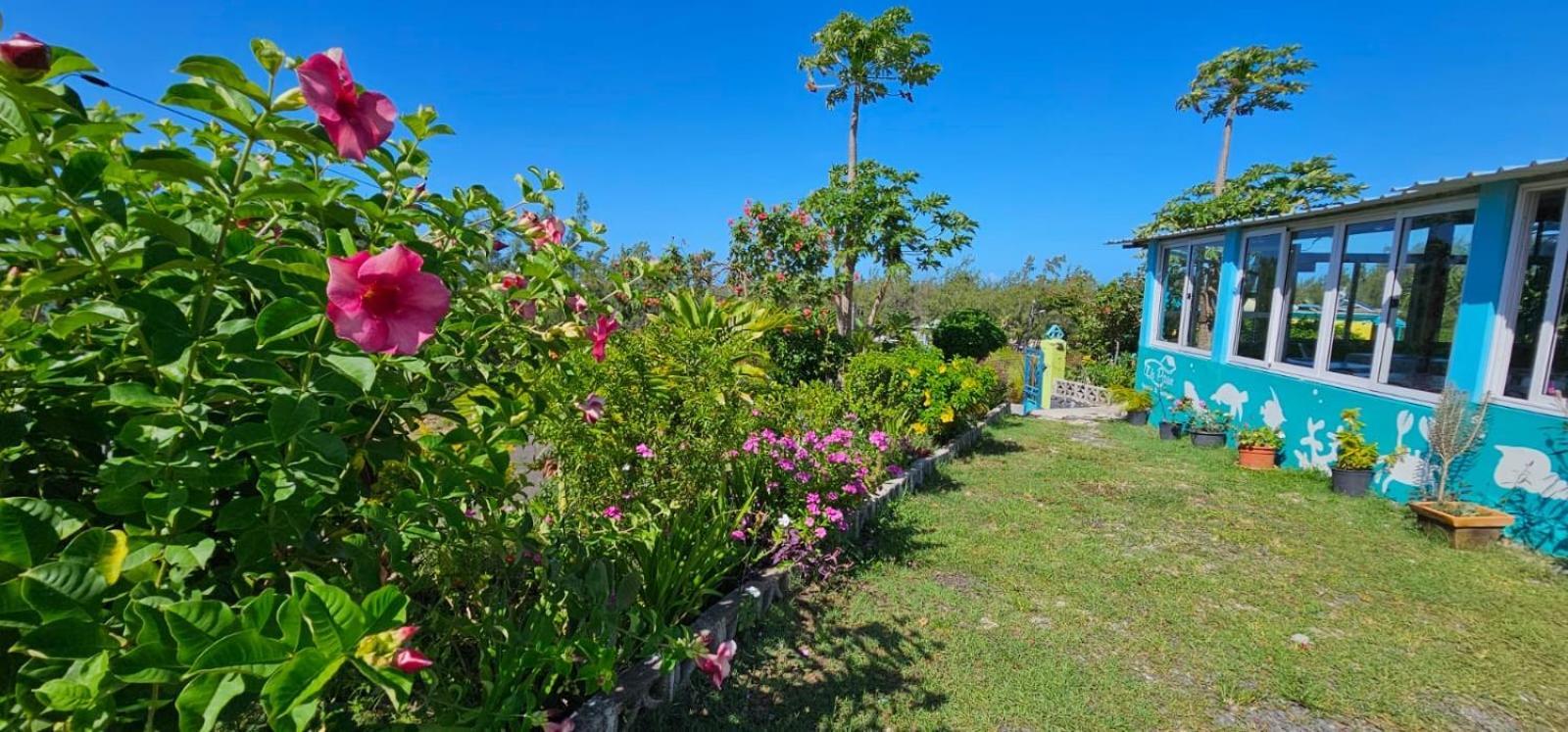 Tilapasse Resto & Guest House Port South East Εξωτερικό φωτογραφία
